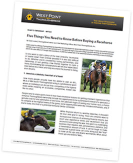 preview_fivethings-3.jpg preview_fivethings-3.jpg