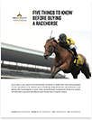 West Point Report 5 Things to Know Before Buying a Racehorse